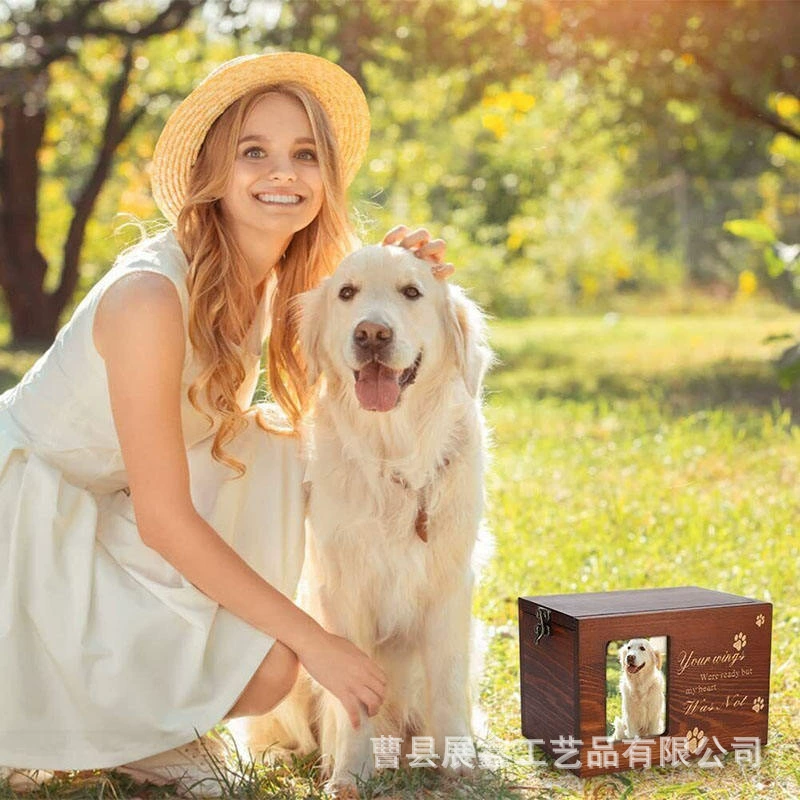 Кошки Домашние животные Похоронные принадлежности Трансграничные Амазонки Пепел