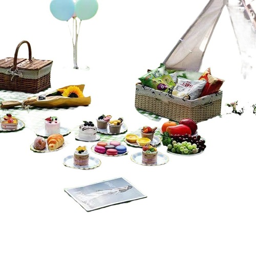 Picnic mat, moisture-proof pad, outdoor camping mat, picnic blanket, waterproof, thick, outdoor camping pad