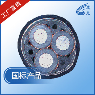 ��ꖮa����ZC-YJLV22-8.7/15 3*400������ϩ�^�������|