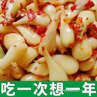 �����خa�����w�^���ֹ����������^�r���ω�����ˊ�^�_θ���