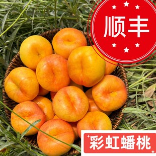 ��ꎲʺ������5�����rˮ��������S���]�ЋD�S�����Ҵ�������