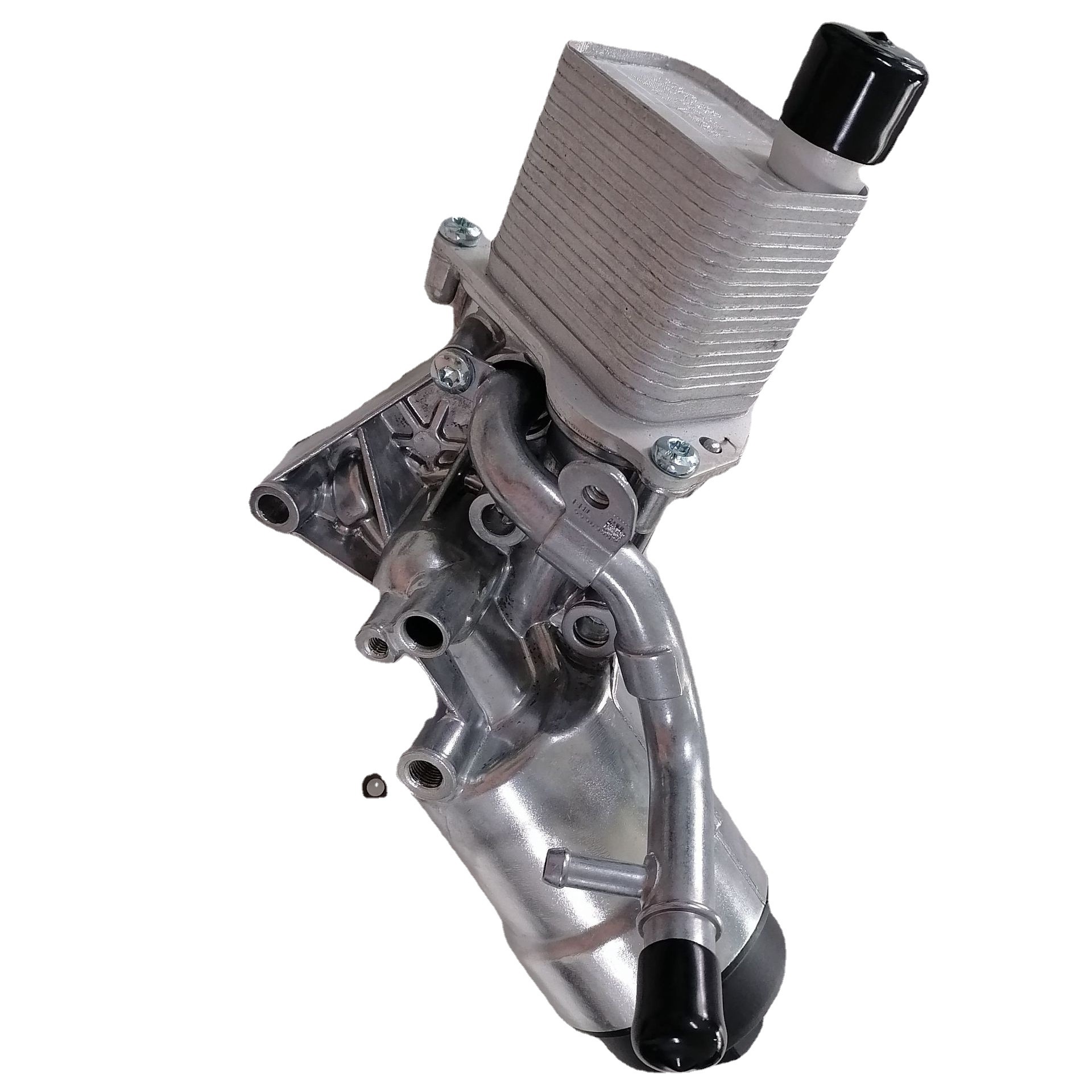 ����ɢ�����ܳ� �������ܳ�������ѩ����  55566784 251992