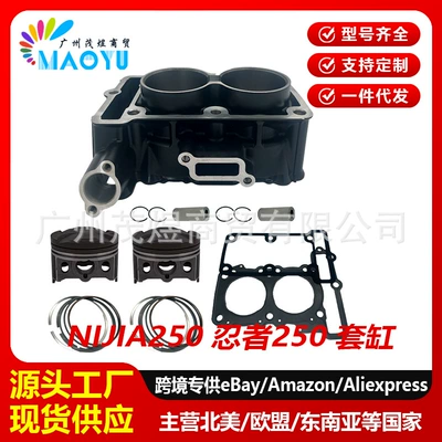 Suitable for Kawasaki Kawasaki Ninja250 Cylinder Piston Ring Kle Double Cylinder Water-Cooled Ex250
