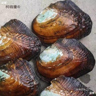 ������Լ��_��ȡ���鵭ˮ������Ӱ���������r����մ�����̫��