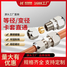 �~�懿���ֱͨ���l�ȏ�׃���~���p�^���׽��^�е͉���ӌ��ӽ��^