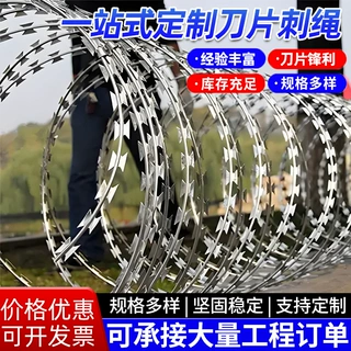 热镀锌刀片刺绳定制学校围墙监狱看守所防盗围栏304不锈钢滚笼