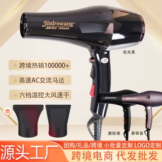 超劲王6630大功率吹风机发廊理发店负离子电吹风筒跨境护发冷热风