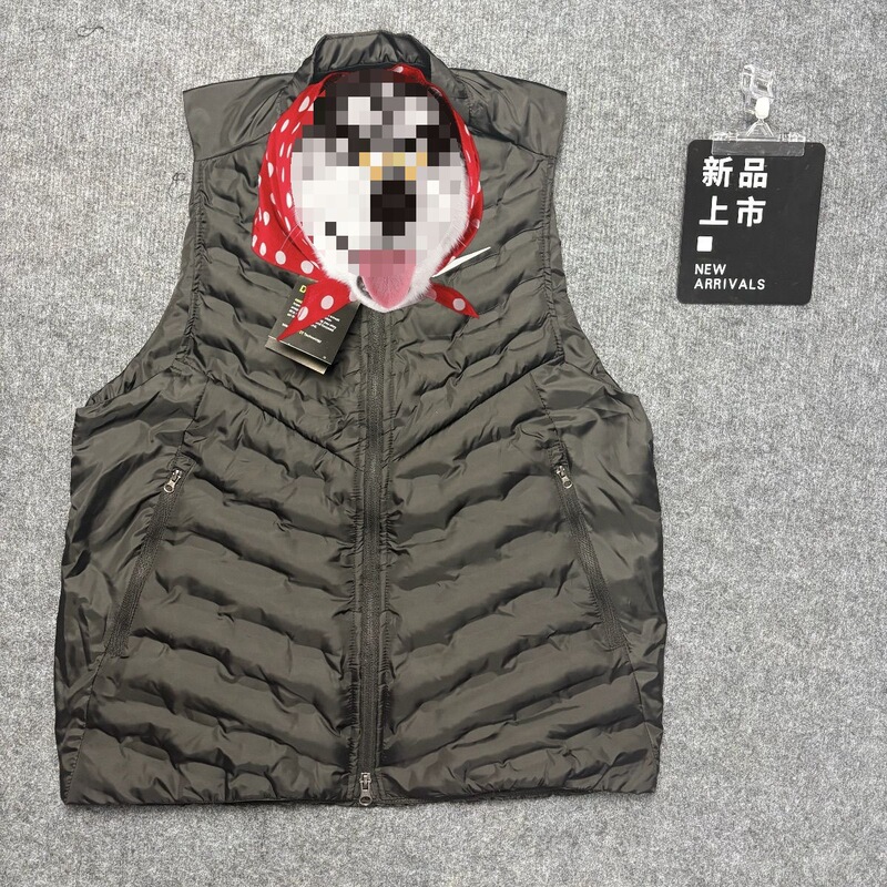 Overseas Hot-Selling Autumn and Winter Training Vest Sports Casual Men's Style in Stock Fb7543 Regular