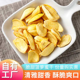 工厂现货冻干水果干休闲零食散装冻干菠萝蜜脆果蔬脆批发