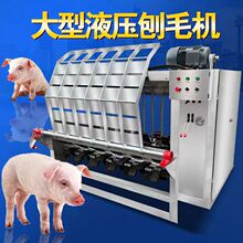 ÓëC׏S򹷴ëCɽdÓëëCaزP䓠C