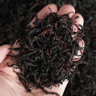 ��ϵ�t�� �²��紺�Ř�t�� Ұ������� ����t�� ɢ��a��؛Դ