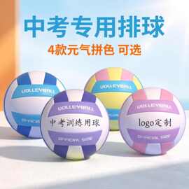 新款跨境5号学生软排中考耐磨儿童4号比赛排球工厂批发户外排球