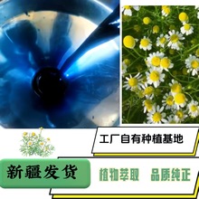 F؛l½ʾվl100%ηͷyƷԭ