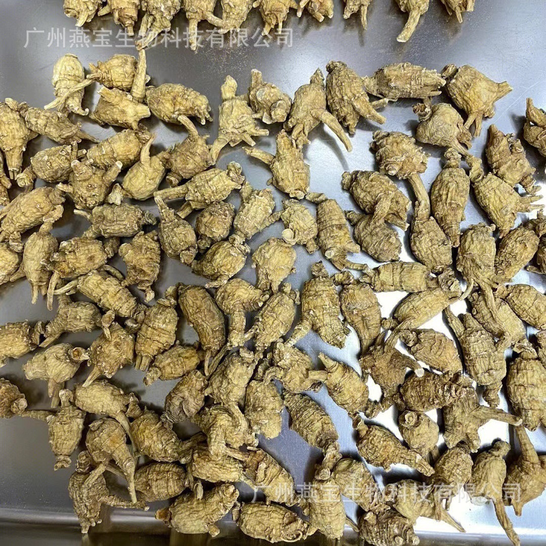 正品加拿大进口西洋参原丛精选圆丛花旗参小圆泡整粒原尾小泡参