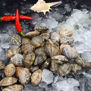 3���b�B노ۺ��r���r�����r����ۻ�͘���sɫ�򻨸���ؐ����l