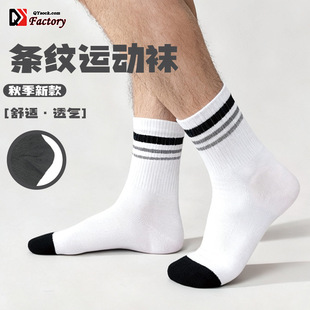 �m����ʿ��Ͳ�m�����m�����͸������ԭ���OӋ���LͲ�m�@���̄��m