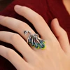 Colorful Phoenix, new collection