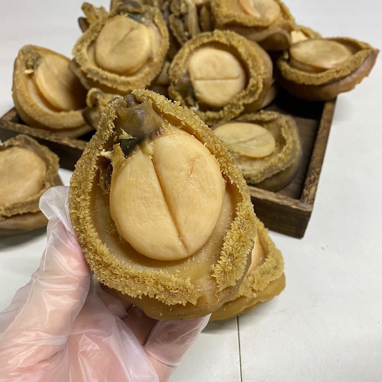 一德路批发南非干鲍 南非鲍鱼 南非吉品鲍 溏心鲍鱼海味干货心