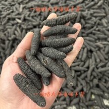 �����䅢 �o�������䅢ϣ�D������̅����ɺ����ߝq�l�� 40-300�^