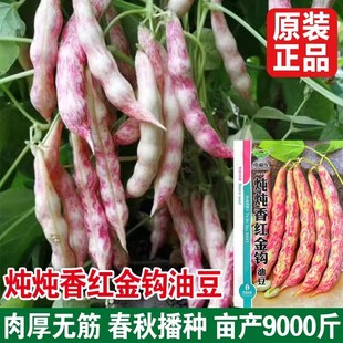 �t���h�Ͷ��N���ļ����N���S���h���ǟo�ܶ�ԭ�b�ļ��߲˷N�Ӵ�ȫ