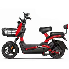 電動自転車エクスポートバッテリー車クロスボーダークール戦電気自動車ロング航続エレクトリックバイク