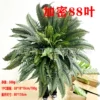 88 Leaf Encryption [Ready stock/For large quantities, please contact customer service]