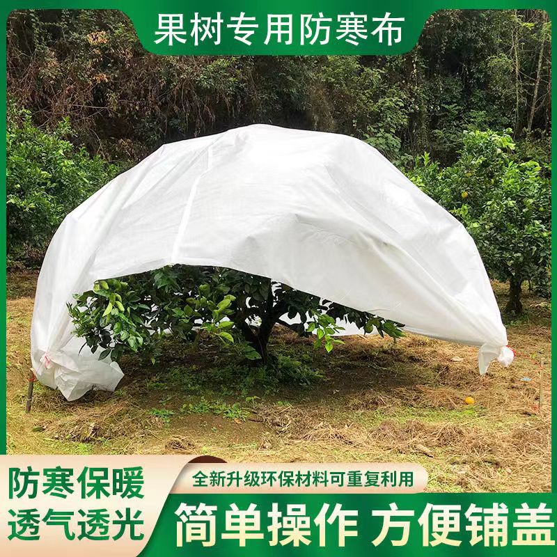 厂家柑橘葡萄防寒无纺布果树保温保湿袋防虫拒水束口袋树罩防护