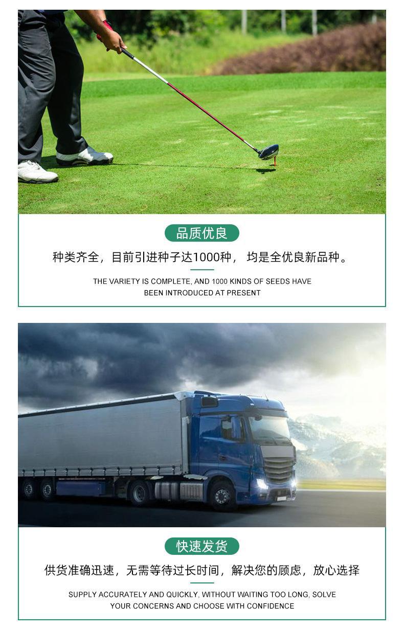 O1CN01pcOtgt21O8rk14ios_!!2210