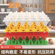 加厚塑料蛋托蛋托30枚鸡蛋托收纳长途运输养殖鹅单鸭蛋托防摔