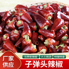 �����F���ӏ��^���������콷��������ɼt����