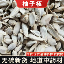 柚子核自晒干柚子籽手工挑选沙田柚子核柚子核粉产地货源量大价优