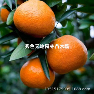 �޽���ո��� ���٘������ֱ�N�޽Ӹ̽����J���������������