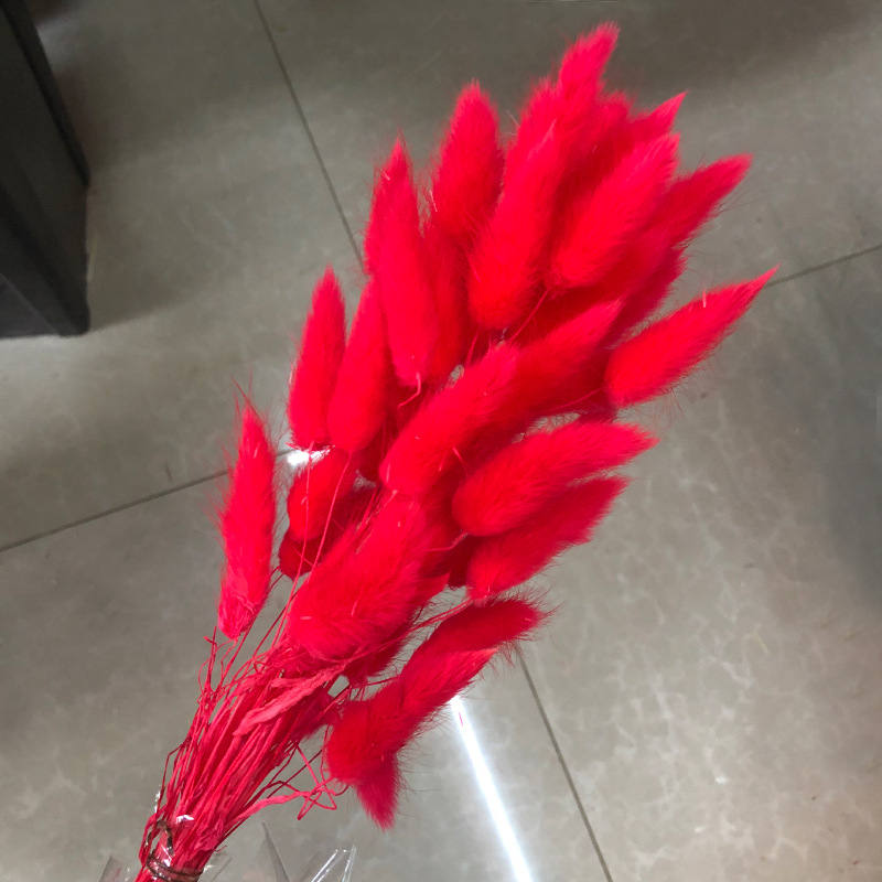 큰 빨간 토끼 꼬리 60개