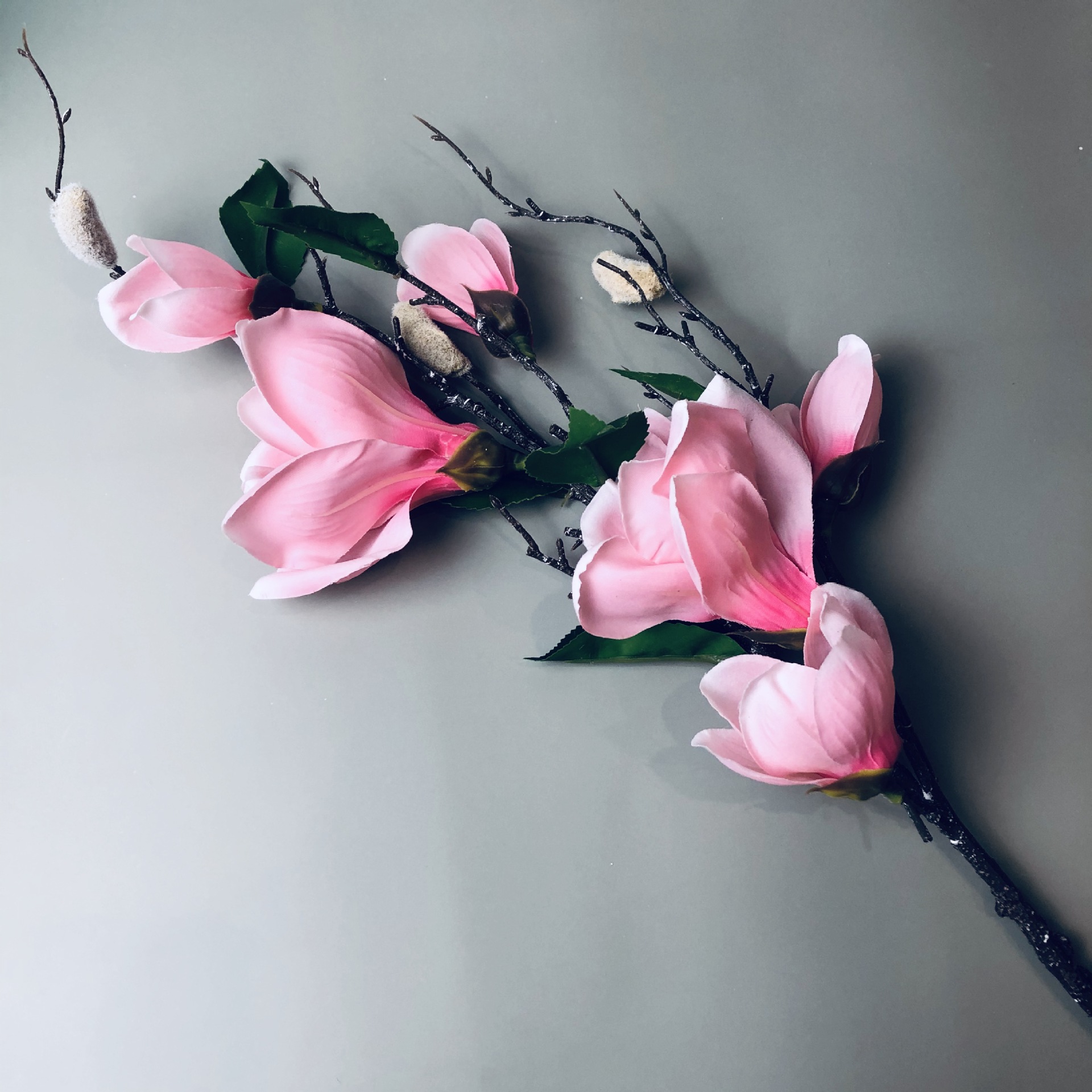 IMG_6535(20201026-234927)