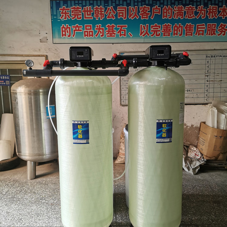 5吨双阀双罐软水机原图1