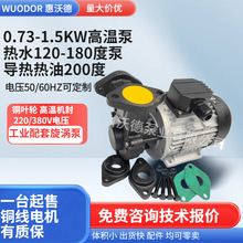 供应YS-15B高温油泵750W卧式导热油循环漩涡泵50HZ415V铜叶轮