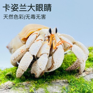 ������ľ�з���������T������ﵭˮ�����^�pз���ˌ���