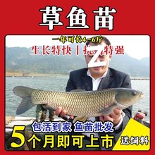 ���ڴ�Ʒ�N���w��ˮ�Bֳ���~���a�~�����~�绨����������~�����