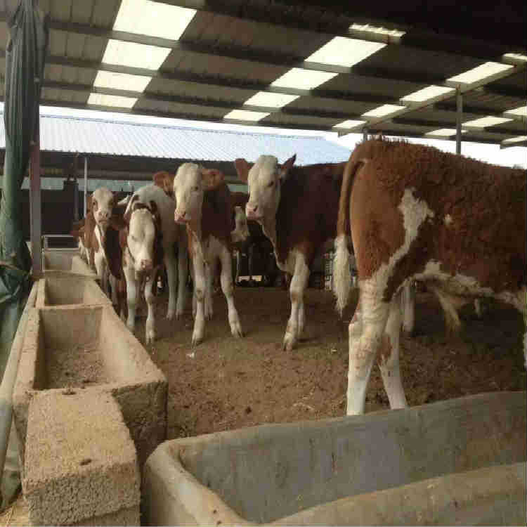 20161220085891819181417905_mei