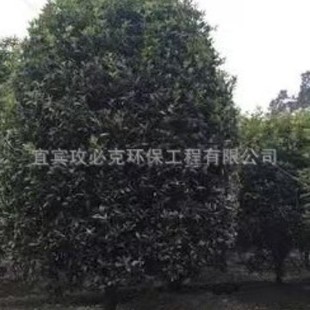 �𻨘䣨�ļ����򣩣��f�����؈@�־G�����������е������l���S