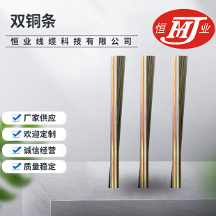 06 double red copper conductive guide rail copper strip multi-purpose LED light PVC conductive magnetic suction co-extrusion plastic copper strip