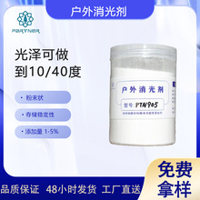 PTN905 户外消光剂  适用于93/7或者94/6的TGIC体系聚酯消光