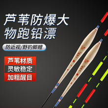 芦苇跑铅漂无铅自立大物漂加粗醒目串串尾浮漂流氓黑坑抢鱼飞铅标