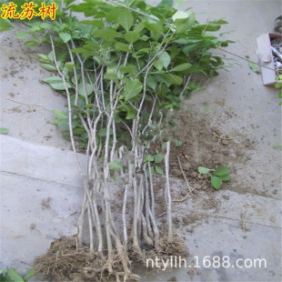 ͥԺ�G���е��������K�����͸���С��޽ӹ���ľ��aռ�،��Ø�