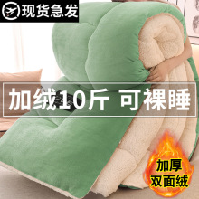 冬季羊羔绒被子冬被双人加厚保暖棉被单人牛奶绒被芯被褥批发速暖