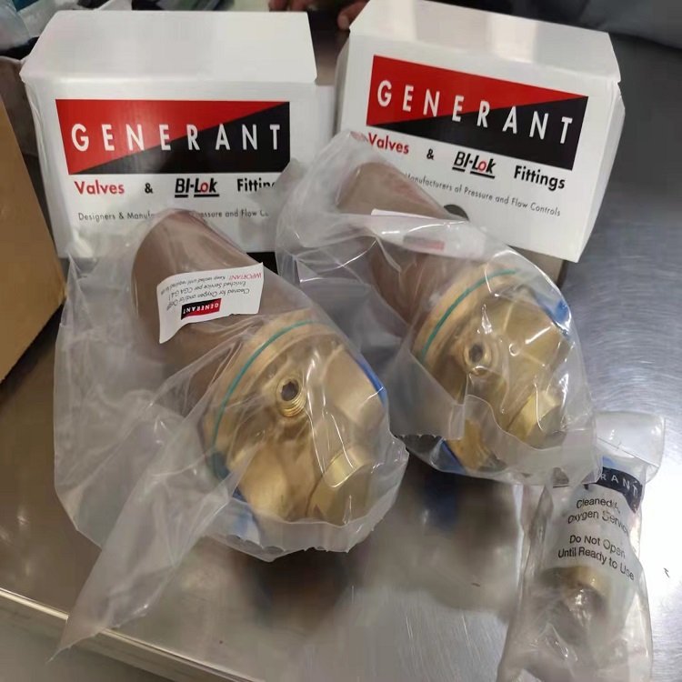 代理美国原装generant BI-Lok 安全阀 52590008系列阀门