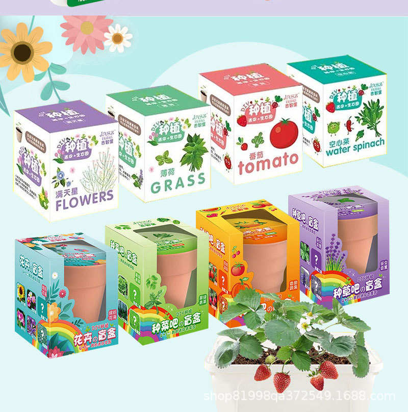 Jardín de infantes tareas de ciencia y educación para niños DIY plantación de plantas verdes plantas de flores en maceta semillas de regalo caja ciega