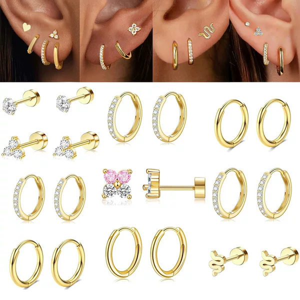 Stainless Steel Multi-Pierced Small Earrings, Earrings, Elegant Earrings, Women's Set, European and American Cross-Border Best-Selling Earrings, Ear Bone Rings
