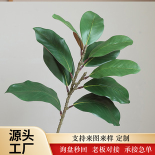 ���Wֲ�����~�� ���m�~����Gֲ����߼��И��bҾӔ[�����l