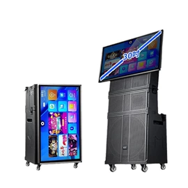 其他音箱;其他音响设备;蓝牙音箱